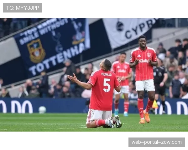 诺丁汉森林0-1不敌埃弗顿,保级形势再度恶化 诺丁汉森林0-1不敌埃弗顿,保级形势再度恶化